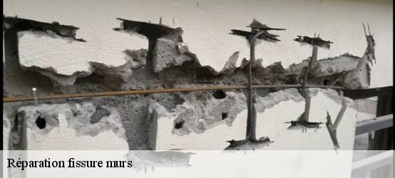 Réparation fissure murs 60380