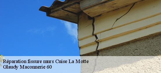 Réparation fissure murs 60350