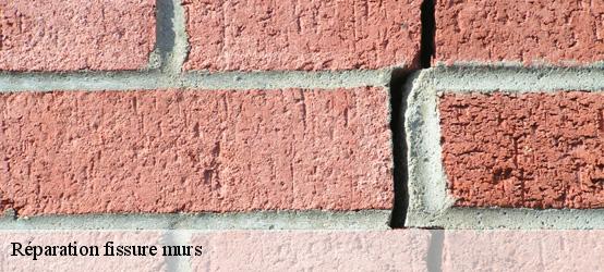 Réparation fissure murs 60350
