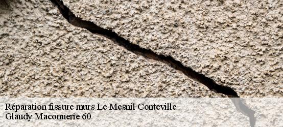 Réparation fissure murs  60210