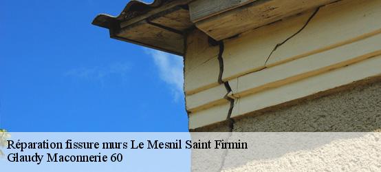 Réparation fissure murs  60120