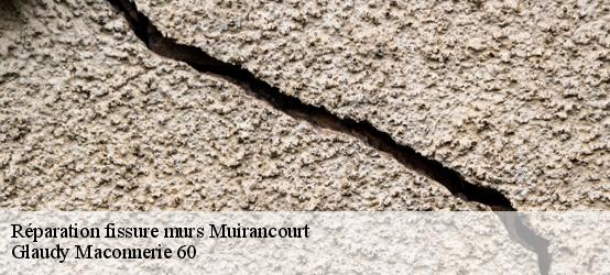 Réparation fissure murs  60640