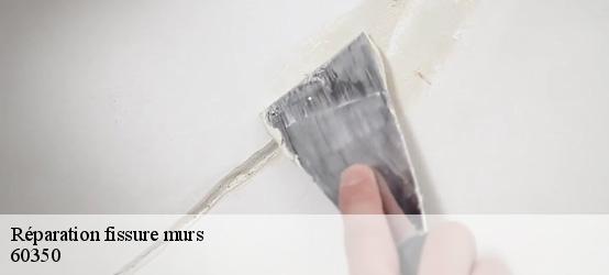 Réparation fissure murs 60350