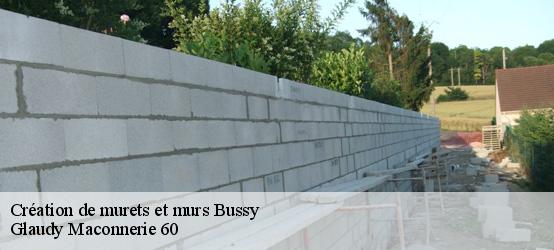 Création de murets et murs 60400