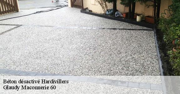 Béton désactivé 60120