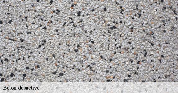 Béton désactivé 60120