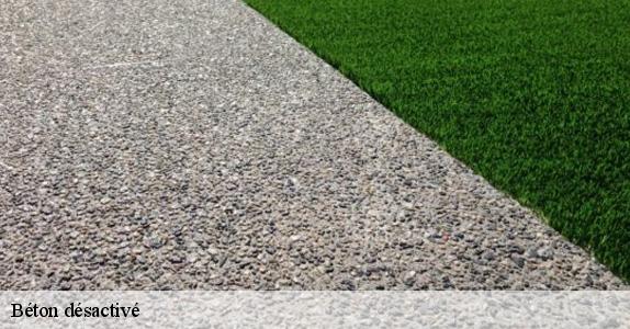 Béton désactivé 60480